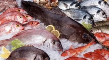 أسعار السمك والجمبري اليوم الأحد.. البلطي الأسواني يتراجع إلى 80 جنيهاً